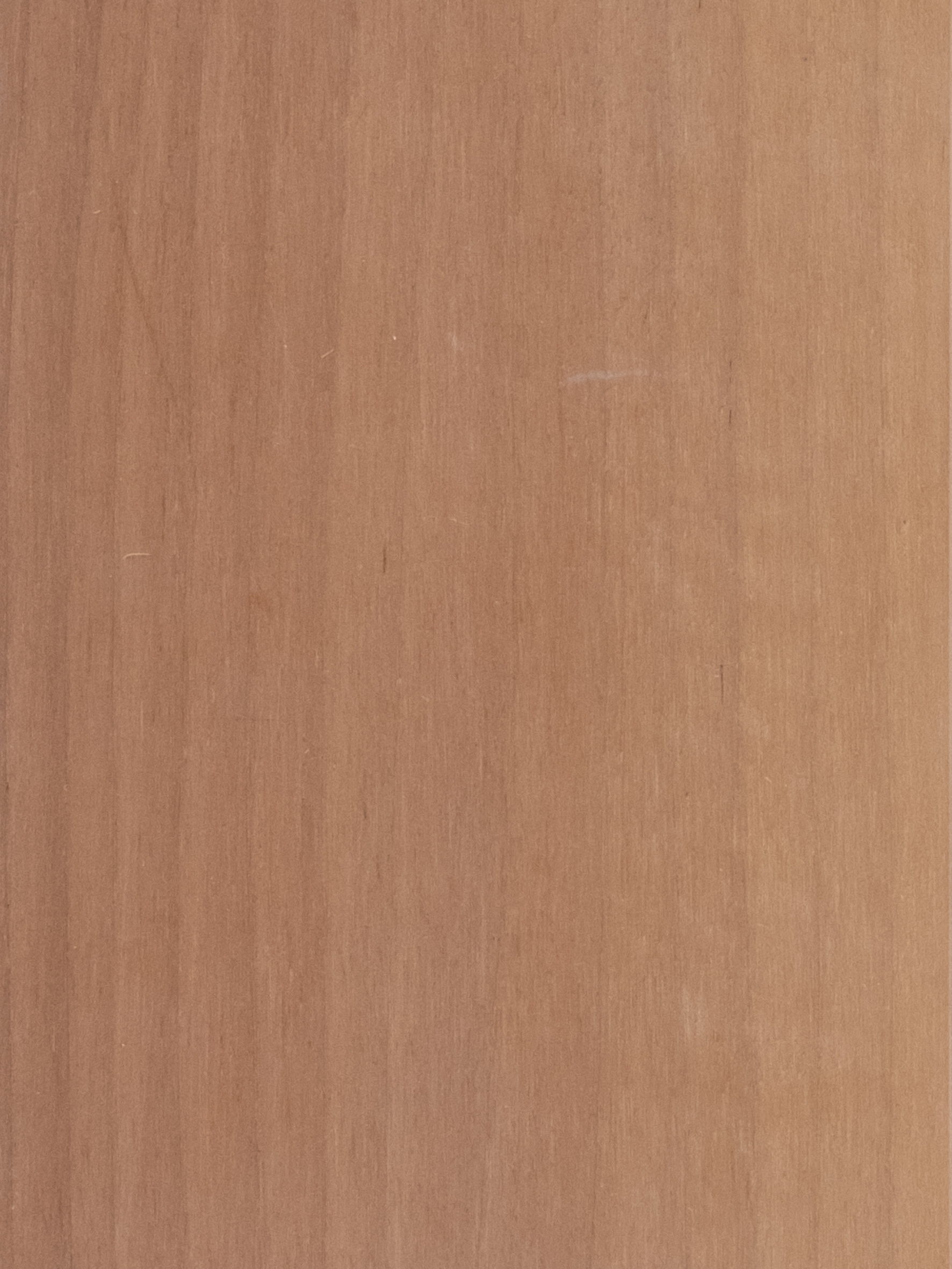 European walnut wood - Image 2