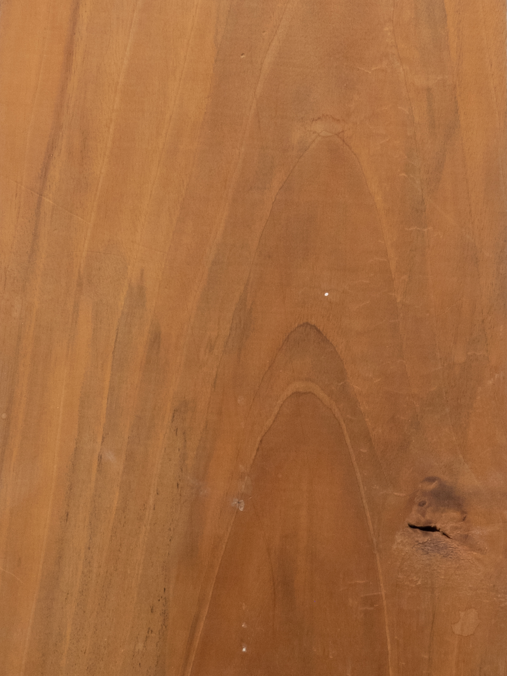 European walnut wood - Image 3