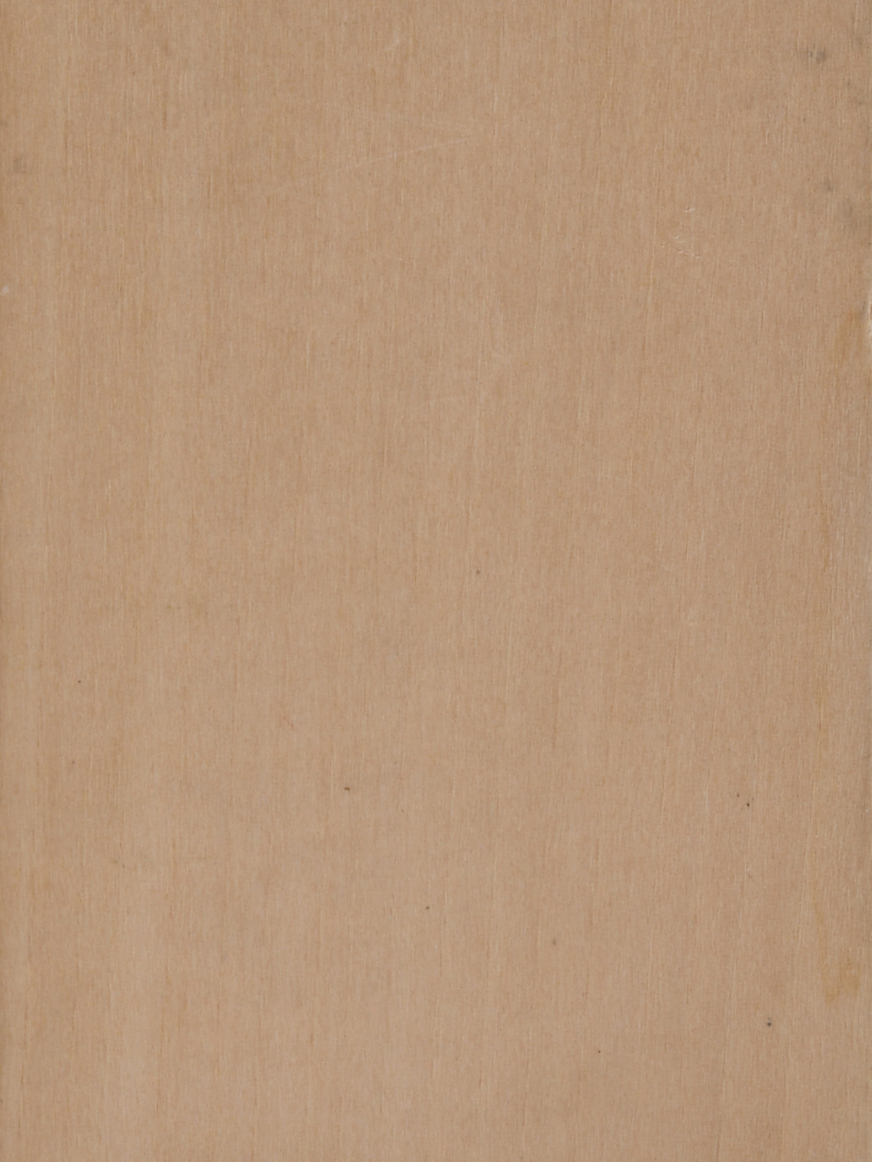 Lime wood - Image 2