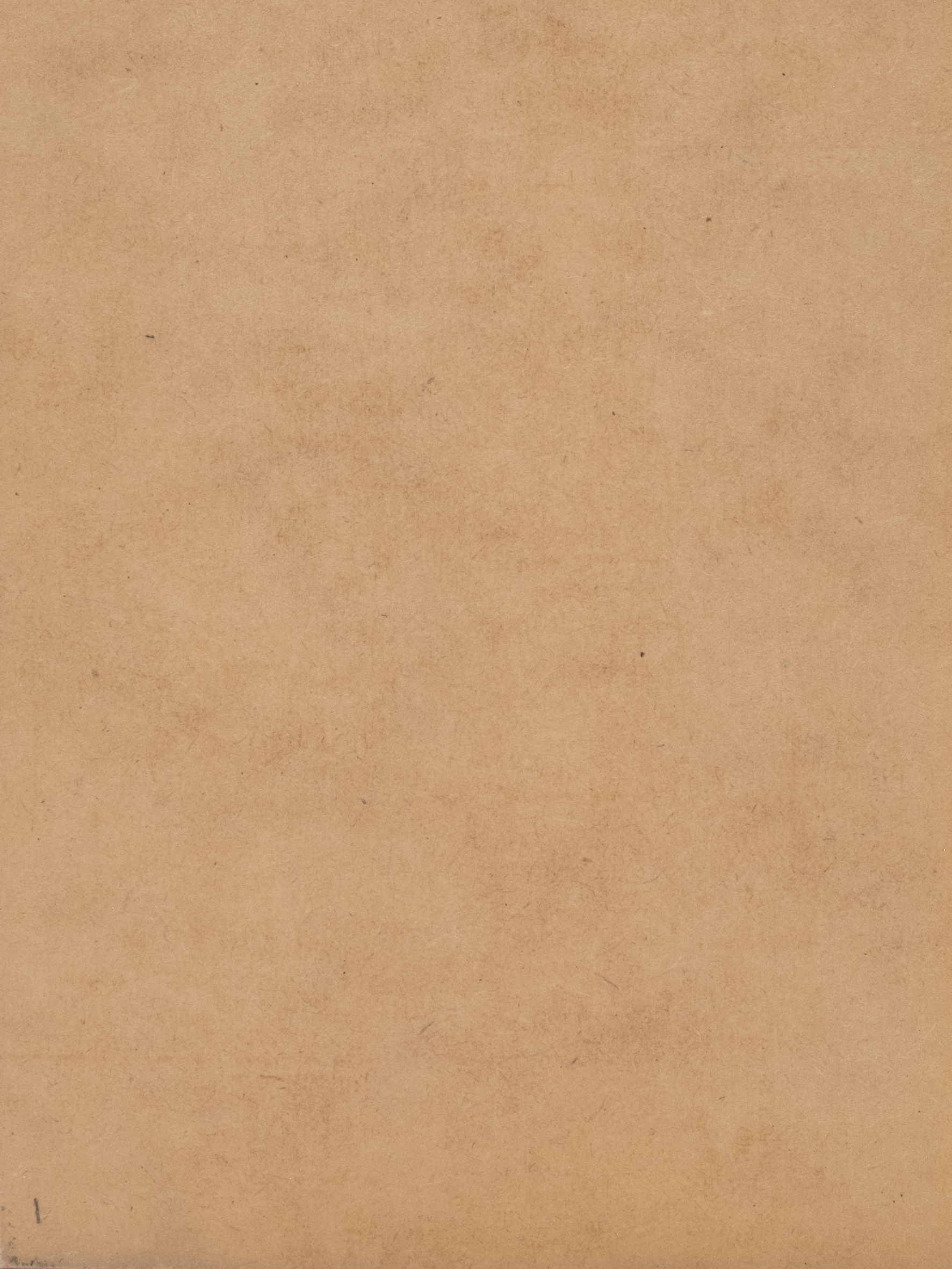 Multilayer solid wood panel - Image 7