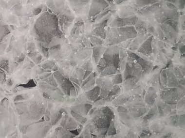 Pannello in vetro riciclato